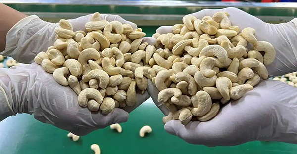 腰果系列设备